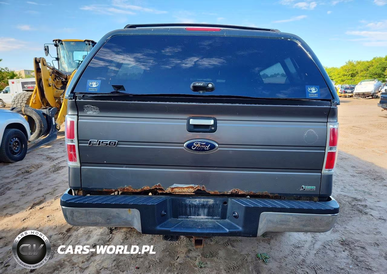 2010 Ford F150 Supercrew VIN:1FTFW1EV4AFD57439 - 6