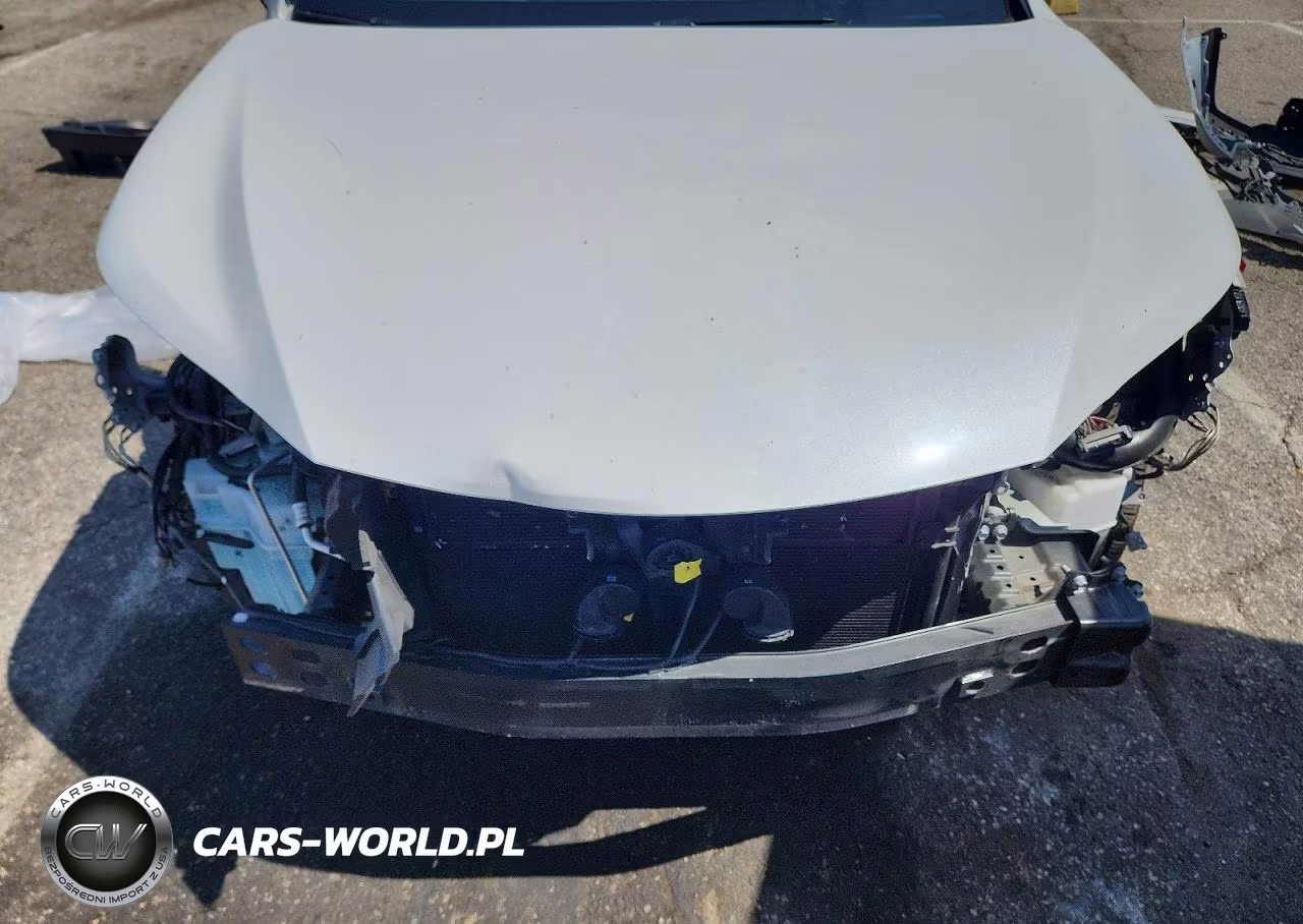 2021 Lexus Nx 300H F Sport Black Line VIN:JTJSJRDZ1M5012683 - 12