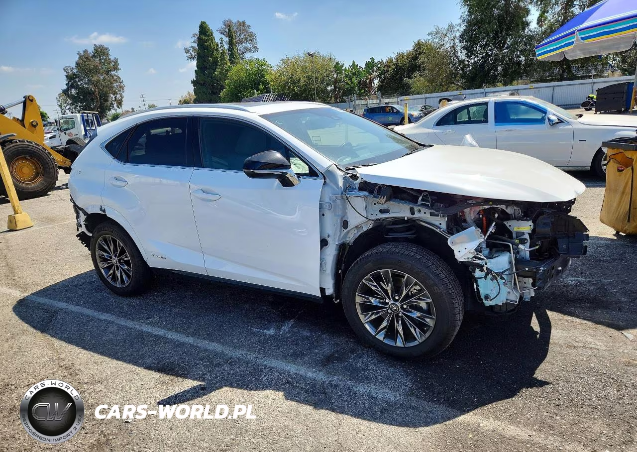 2021 Lexus Nx 300H F Sport Black Line VIN:JTJSJRDZ1M5012683 - 4