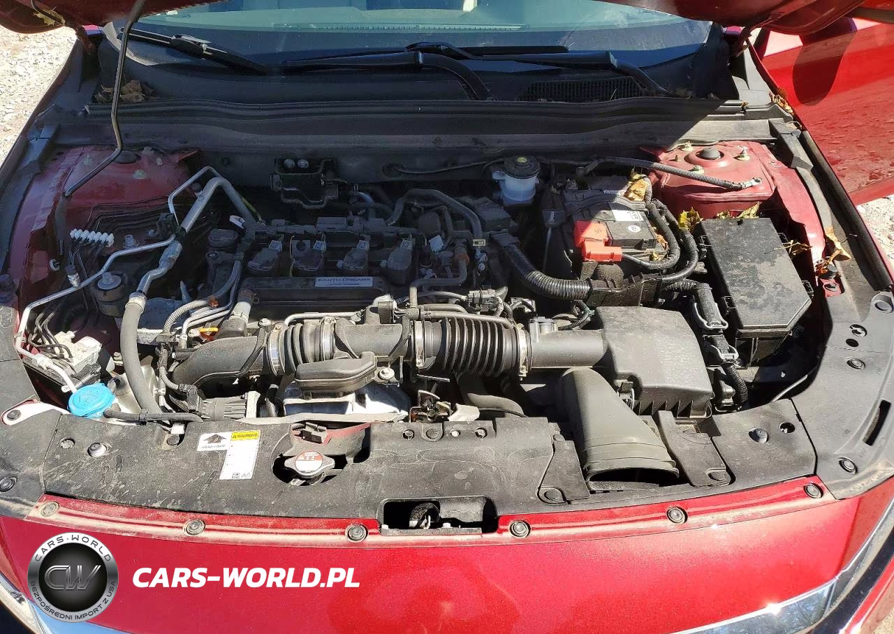 2019 Honda Accord Lx VIN:1HGCV1F12KA005073 - 11