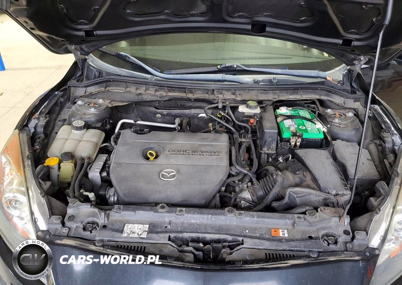 2010 Mazda 3 I VIN:JM1BL1SG8A1103761 - 11