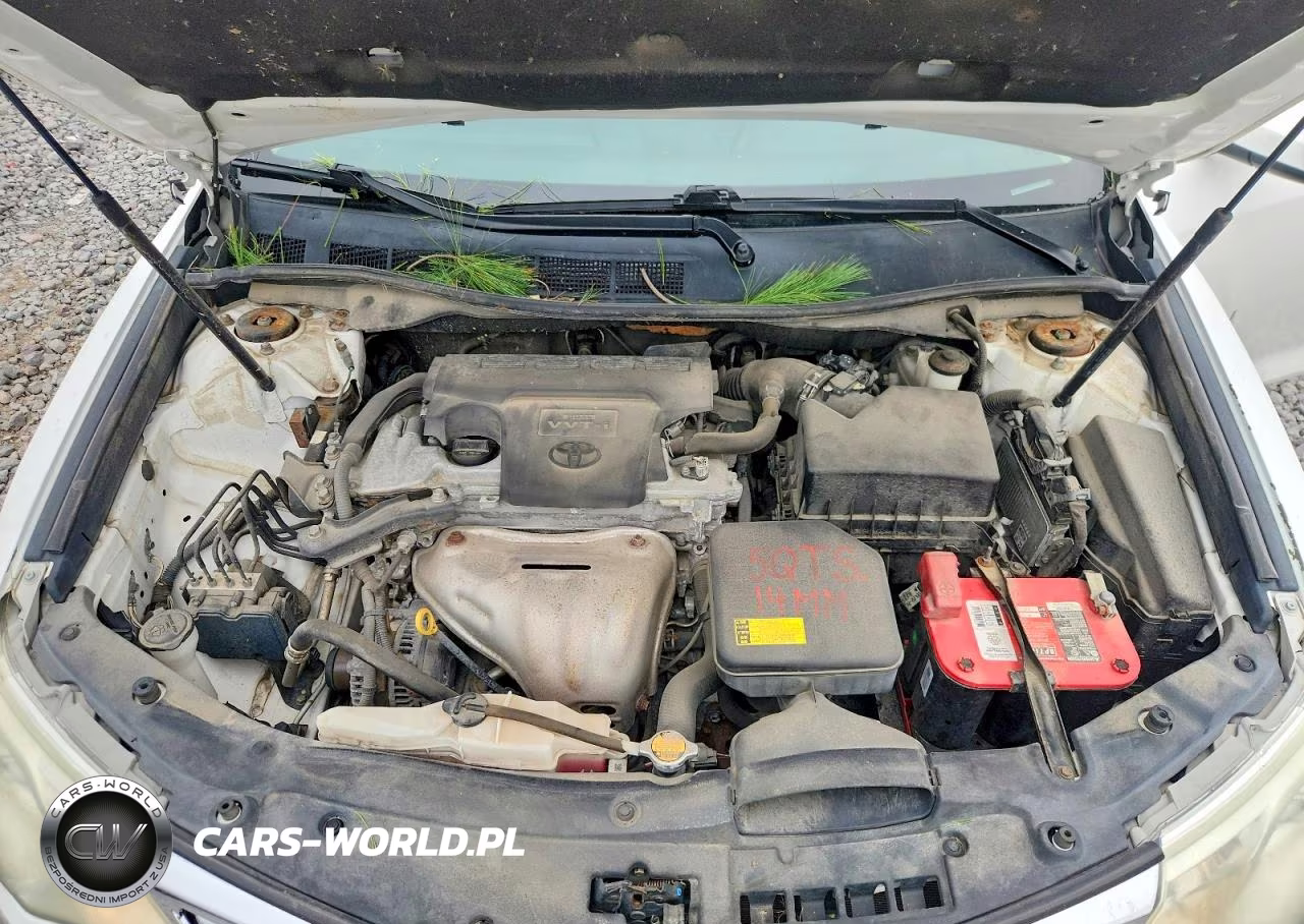 2013 Toyota Camry Xle VIN:4T4BF1FK0DR289323 - 11