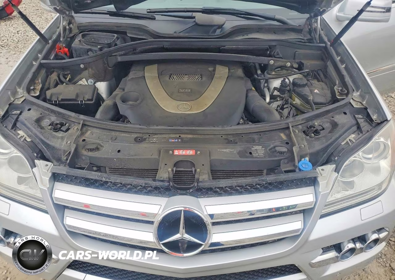 2011 Mercedes-Benz Gl 450 4Matic VIN:4JGBF7BE9BA756184 - 11