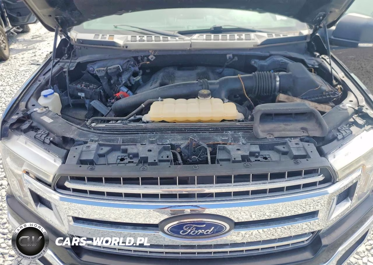 2019 Ford F150 Supercrew VIN:1FTEW1E49KFA09995 - 11