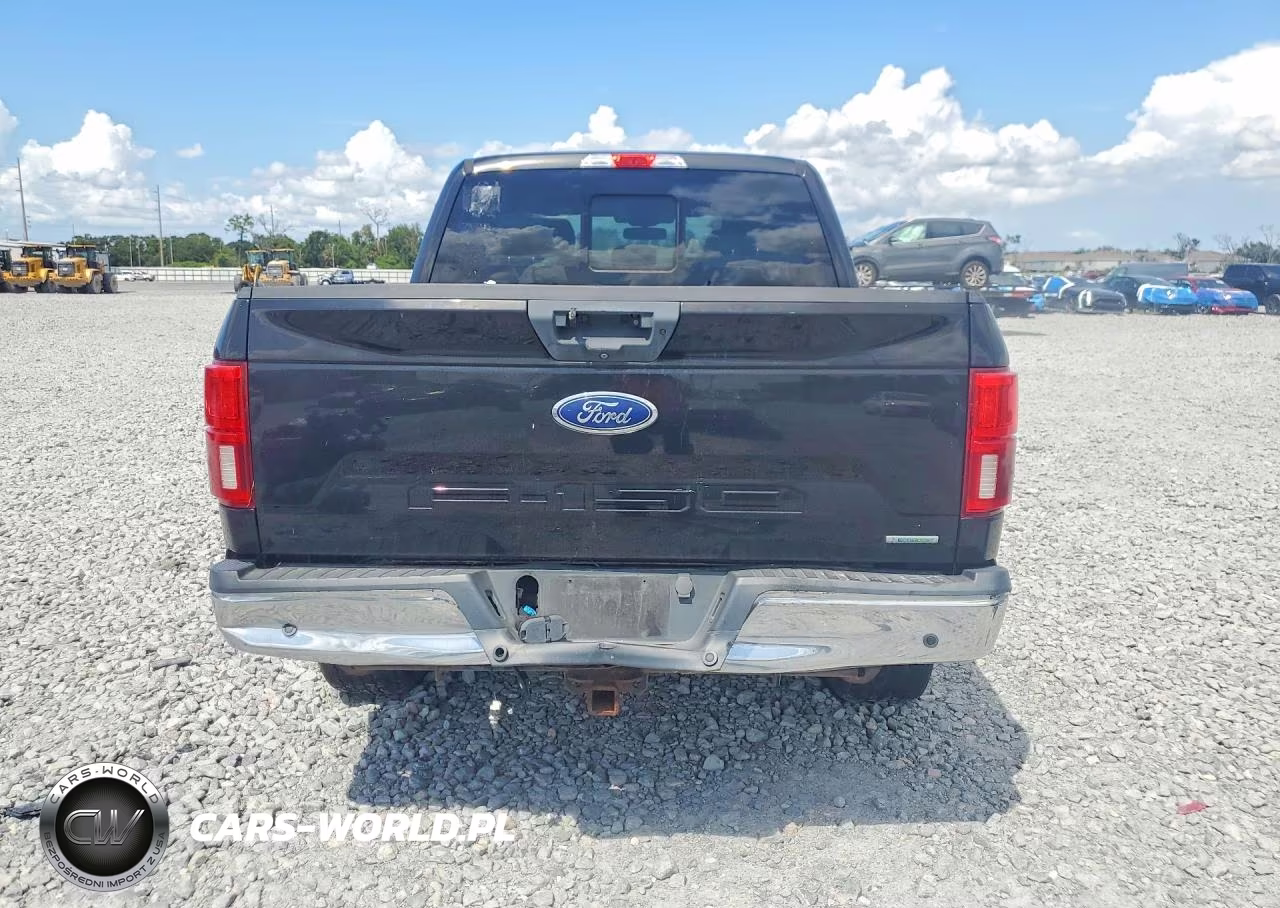 2019 Ford F150 Supercrew VIN:1FTEW1E49KFA09995 - 6