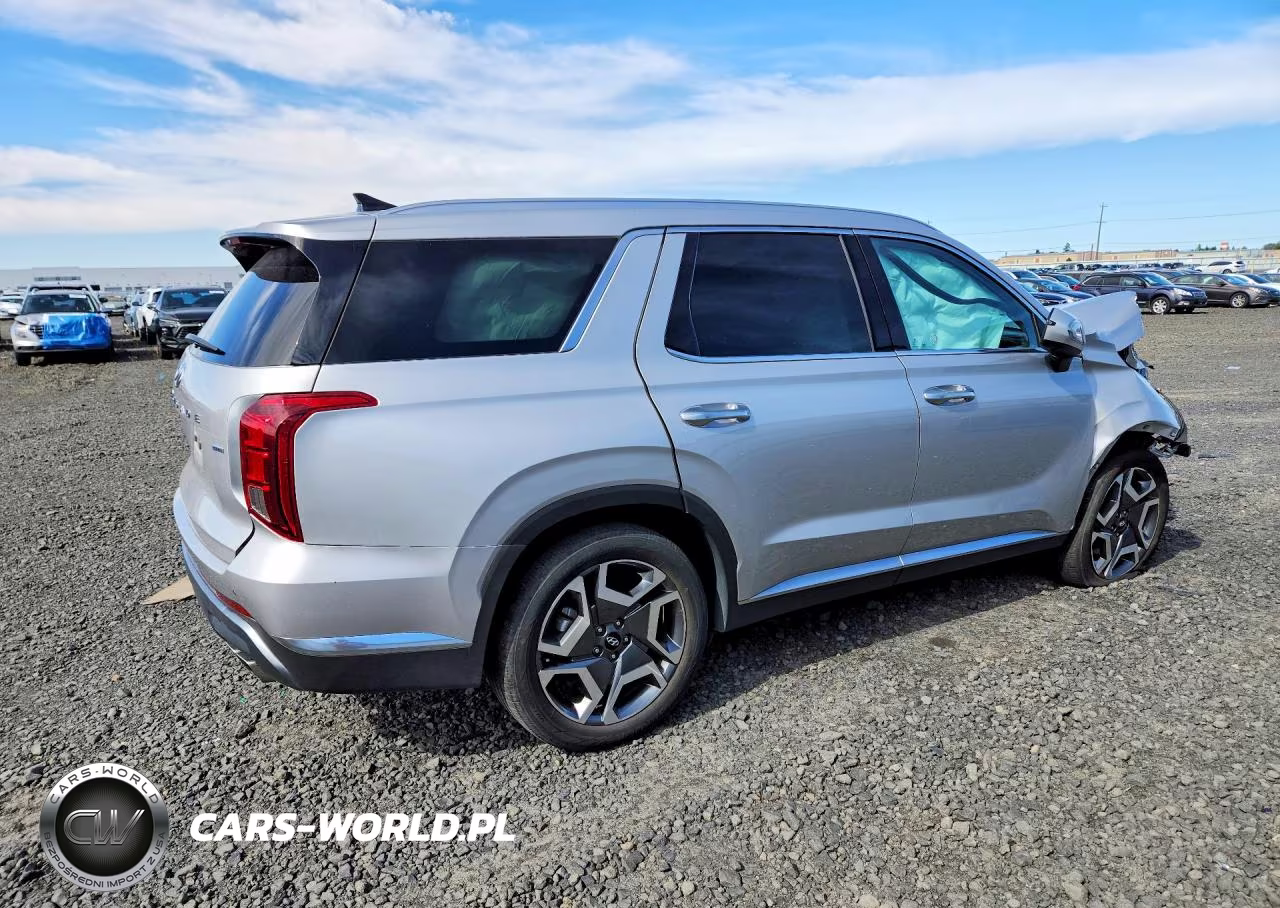 2025 Hyundai Palisade Limited VIN:KM8R5DGE0SU895384 - 3