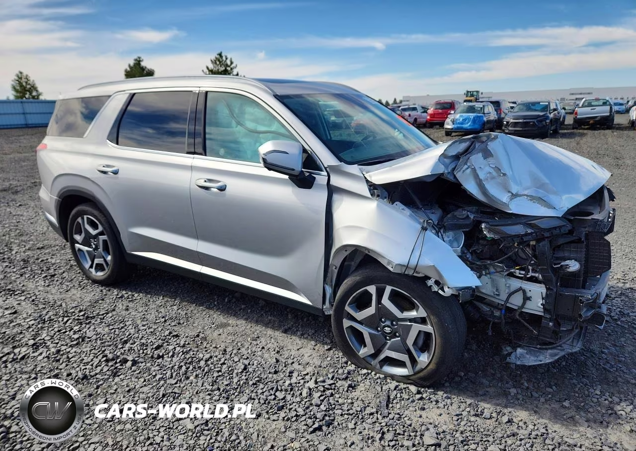 2025 Hyundai Palisade Limited VIN:KM8R5DGE0SU895384 - 4