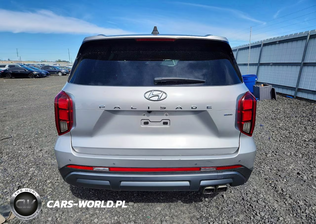 2025 Hyundai Palisade Limited VIN:KM8R5DGE0SU895384 - 6