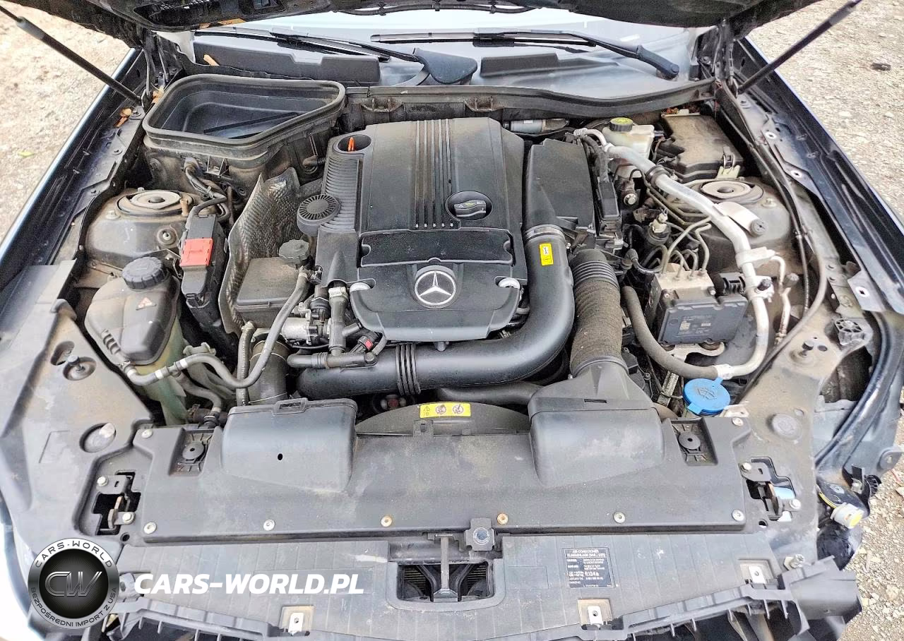 2013 Mercedes-Benz Slk 250 VIN:WDDPK4HA0DF057188 - 11