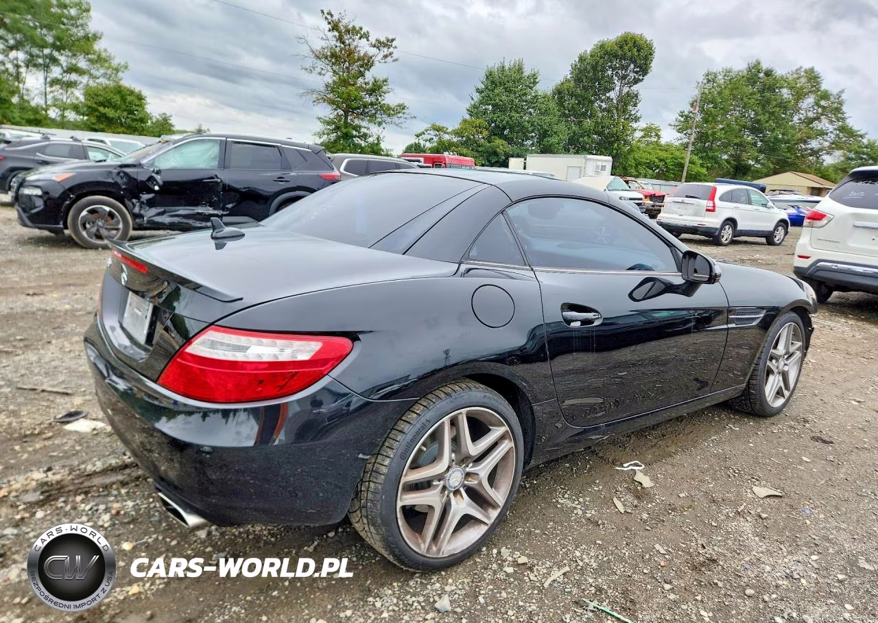 2013 Mercedes-Benz Slk 250 VIN:WDDPK4HA0DF057188 - 3