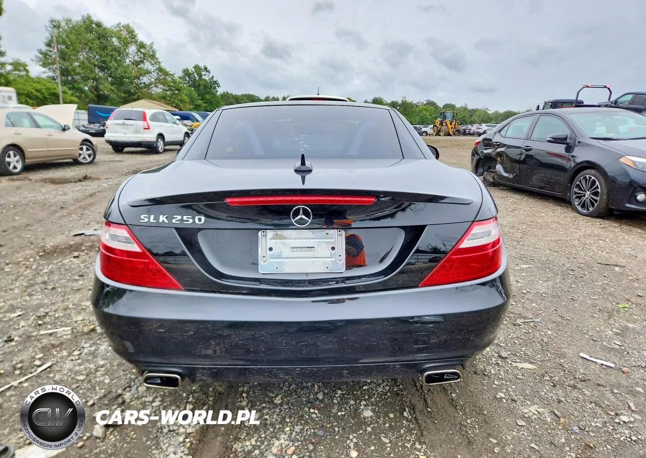 2013 Mercedes-Benz Slk 250 VIN:WDDPK4HA0DF057188 - 6