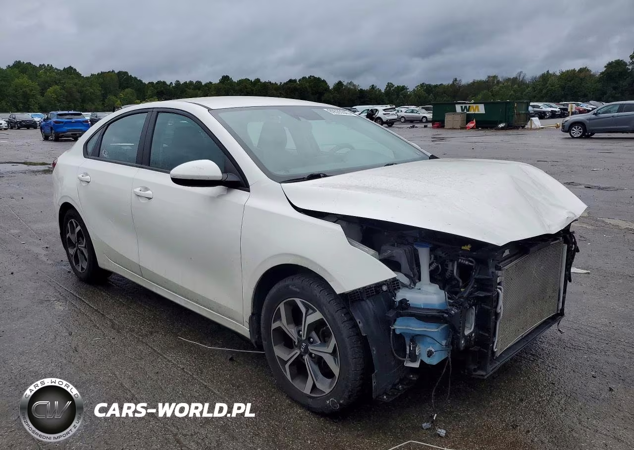 2020 Kia Forte Lxs VIN:3KPF24AD8LE253463 - 4