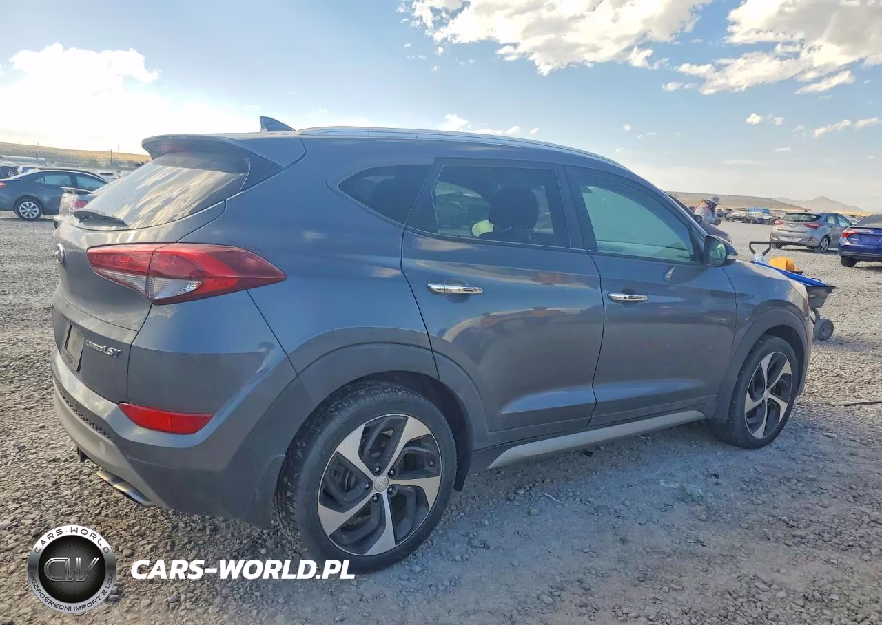 2017 Hyundai Tucson Limited VIN:KM8J33A2XHU320892 - 3