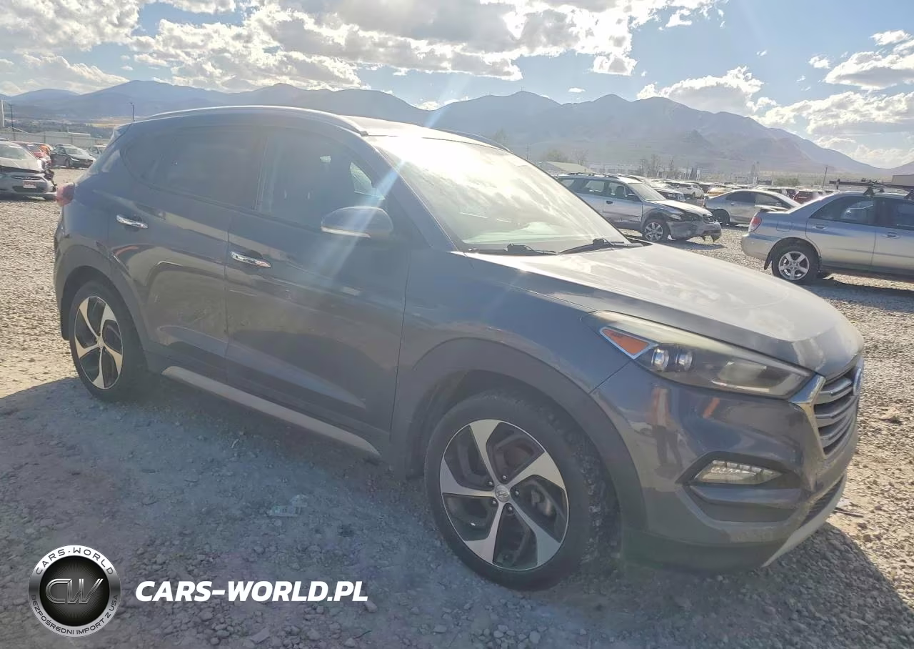 2017 Hyundai Tucson Limited VIN:KM8J33A2XHU320892 - 4