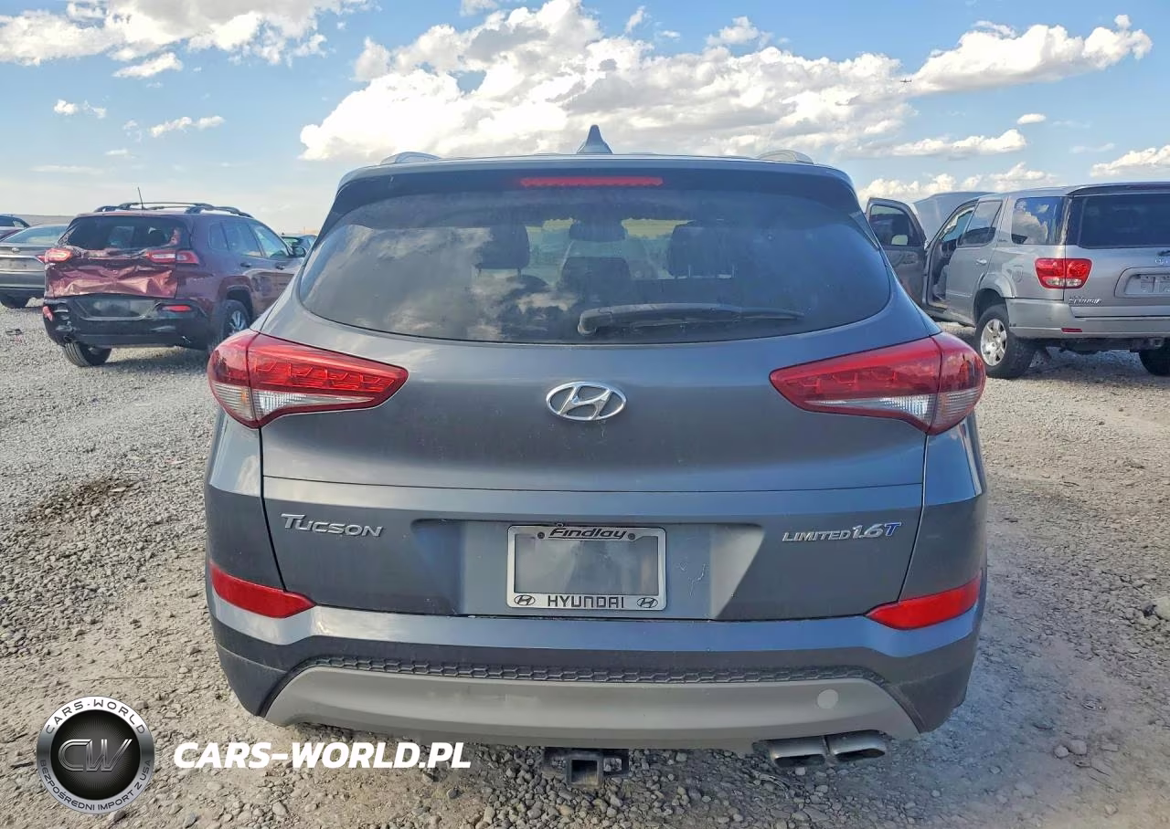 2017 Hyundai Tucson Limited VIN:KM8J33A2XHU320892 - 6