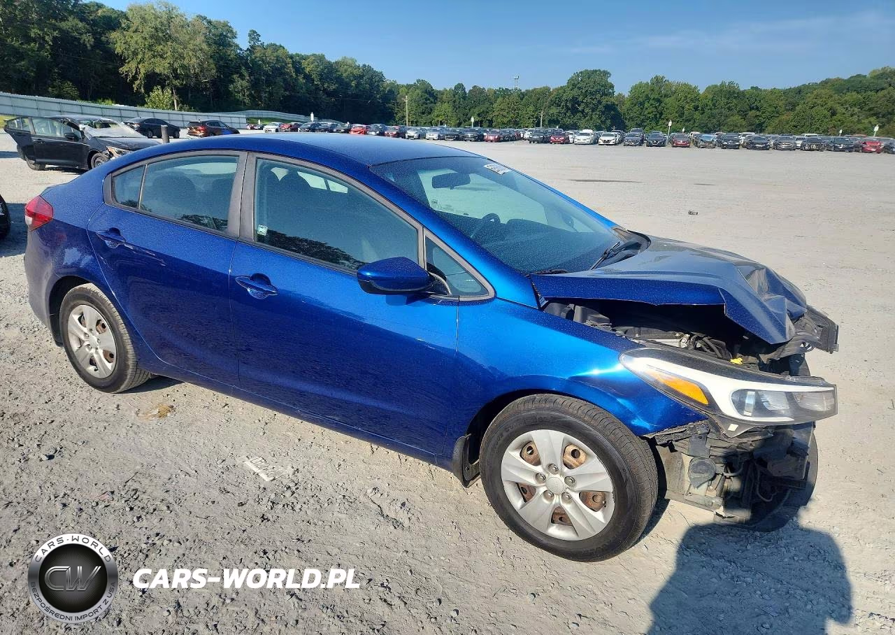 2018 Kia Forte Lx VIN:3KPFK4A73JE197455 - 4