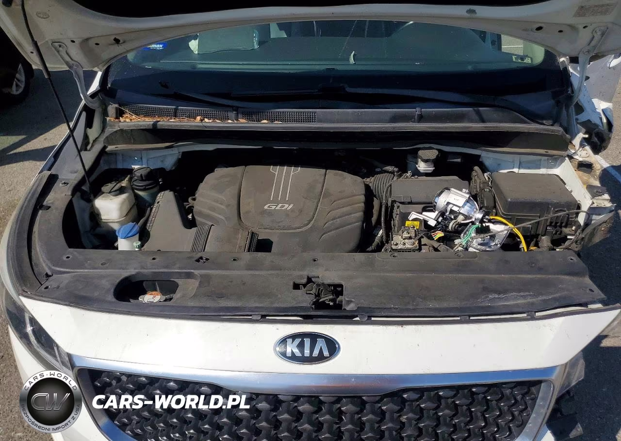 2017 Kia Sedona Lx VIN:KNDMB5C14H6290961 - 11