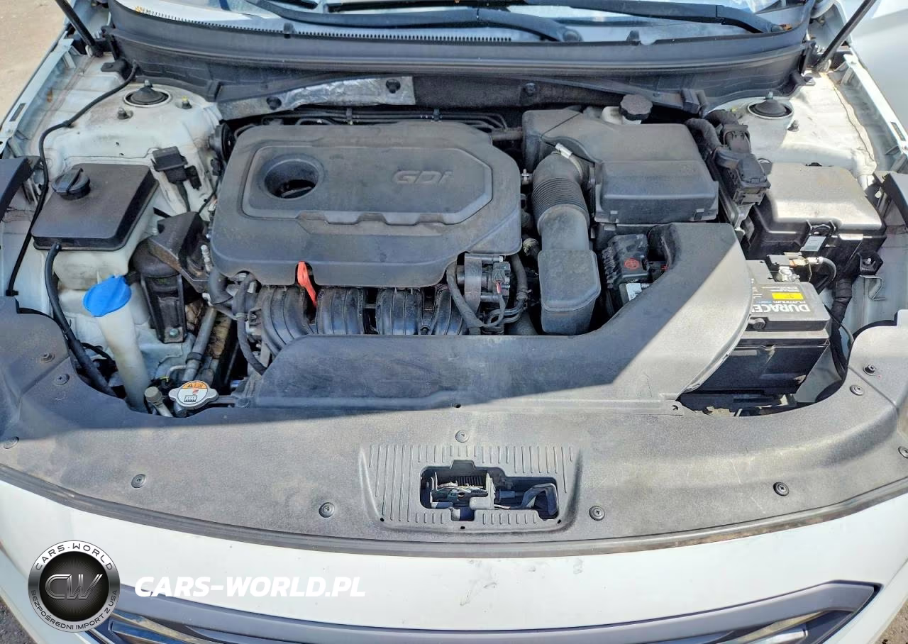 2015 Hyundai Sonata Sport VIN:5NPE34AF2FH179273 - 11