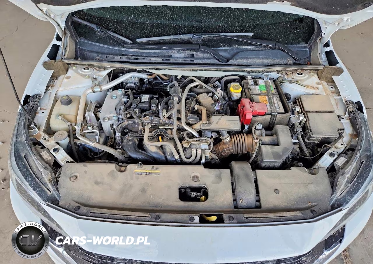 2024 Nissan Sentra Sv VIN:3N1AB8CV6RY375045 - 11