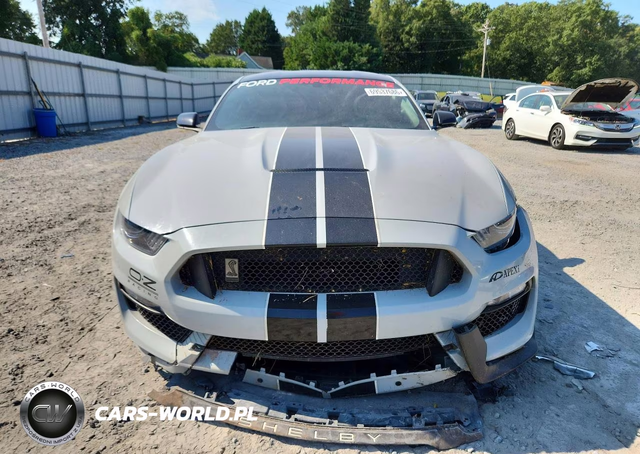 2017 Ford Mustang Shelby Gt350 VIN:1FA6P8JZ2H5525597 - 5