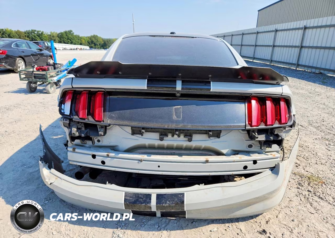 2017 Ford Mustang Shelby Gt350 VIN:1FA6P8JZ2H5525597 - 6