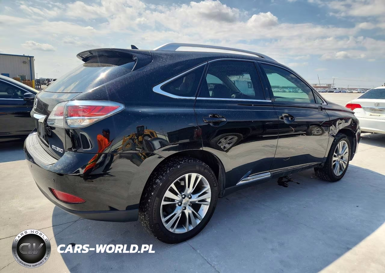 2013 Lexus Rx 350 VIN:JTJZK1BA9D2417699 - 3