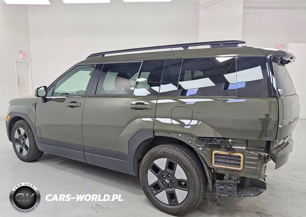 2024 Hyundai Santa Fe Sel VIN:5NMP2DG18RH005989 - 2