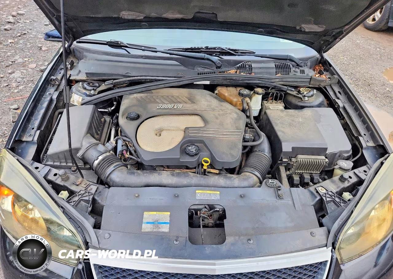 2006 Chevrolet Malibu Ss VIN:1G1ZW53196F176714 - 11