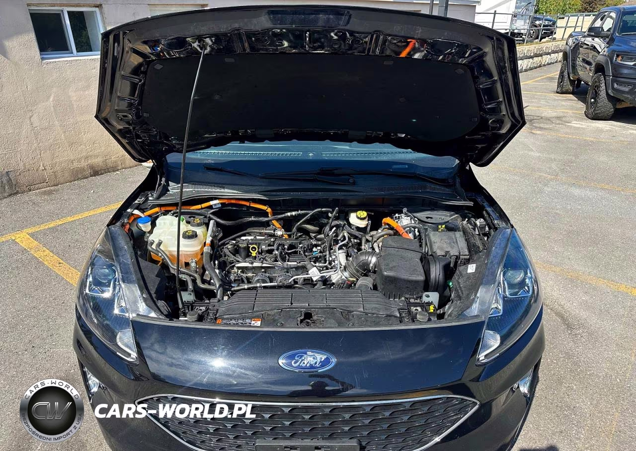 2022 Ford Escape Sel VIN:1FMCU9CZXNUA32921 - 7