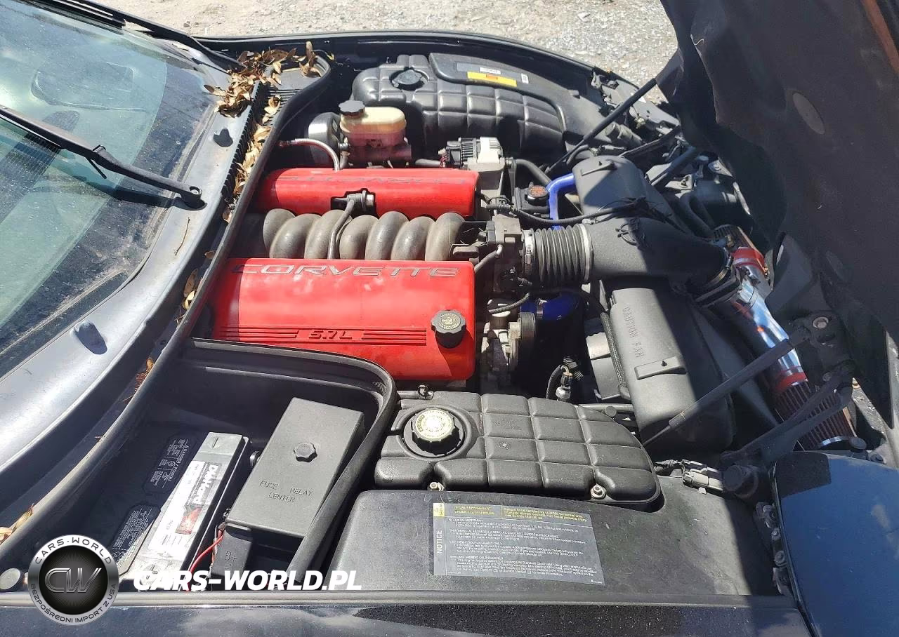 2000 Chevrolet Corvette VIN:1G1YY22G7Y5133279 - 11
