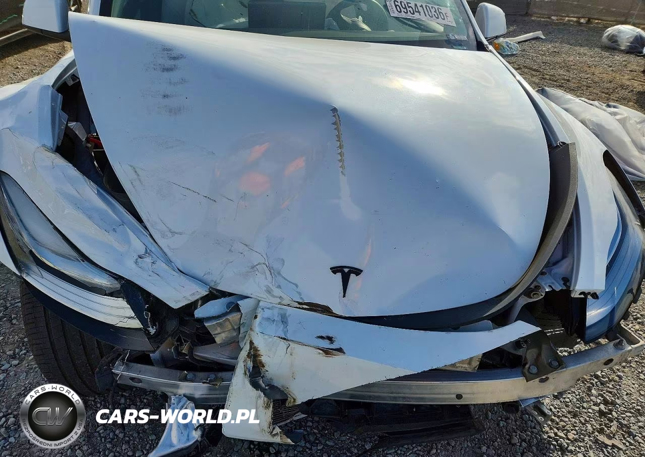 2021 Tesla Model Y VIN:5YJYGDEE3MF282829 - 11