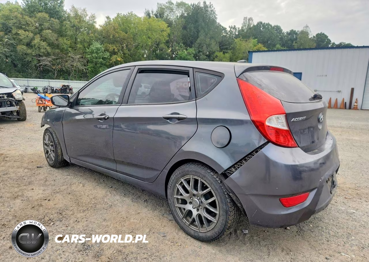 2013 Hyundai Accent Gs VIN:KMHCT5AE8DU066642 - 2