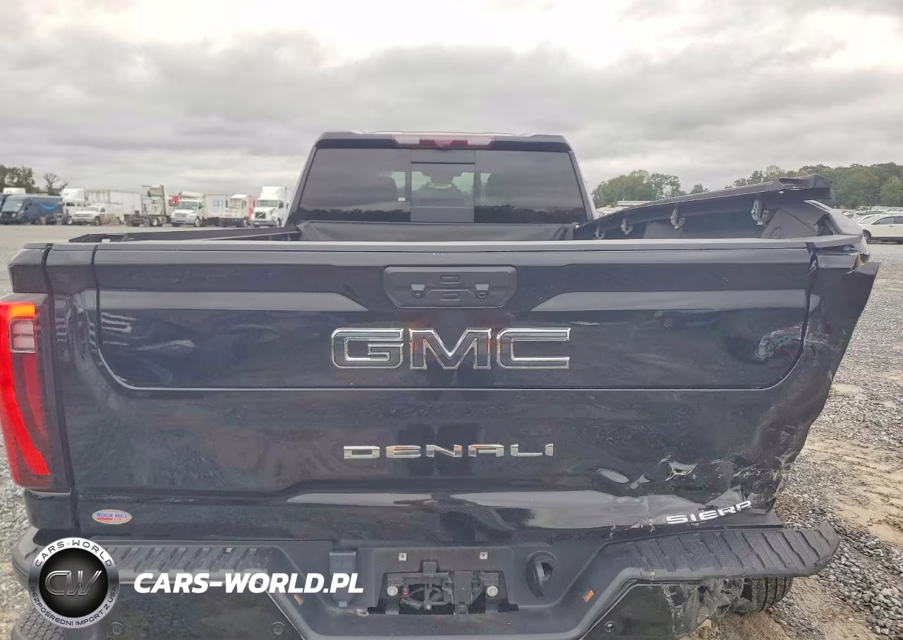 2024 GMC Sierra K3500 Denali Ultimate VIN:1GT49YEY5RF441959 - 10