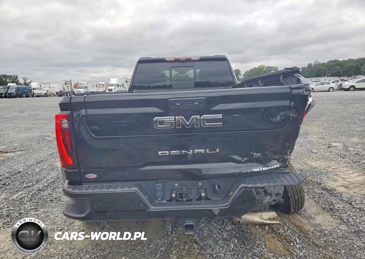 2024 GMC Sierra K3500 Denali Ultimate VIN:1GT49YEY5RF441959 - 6
