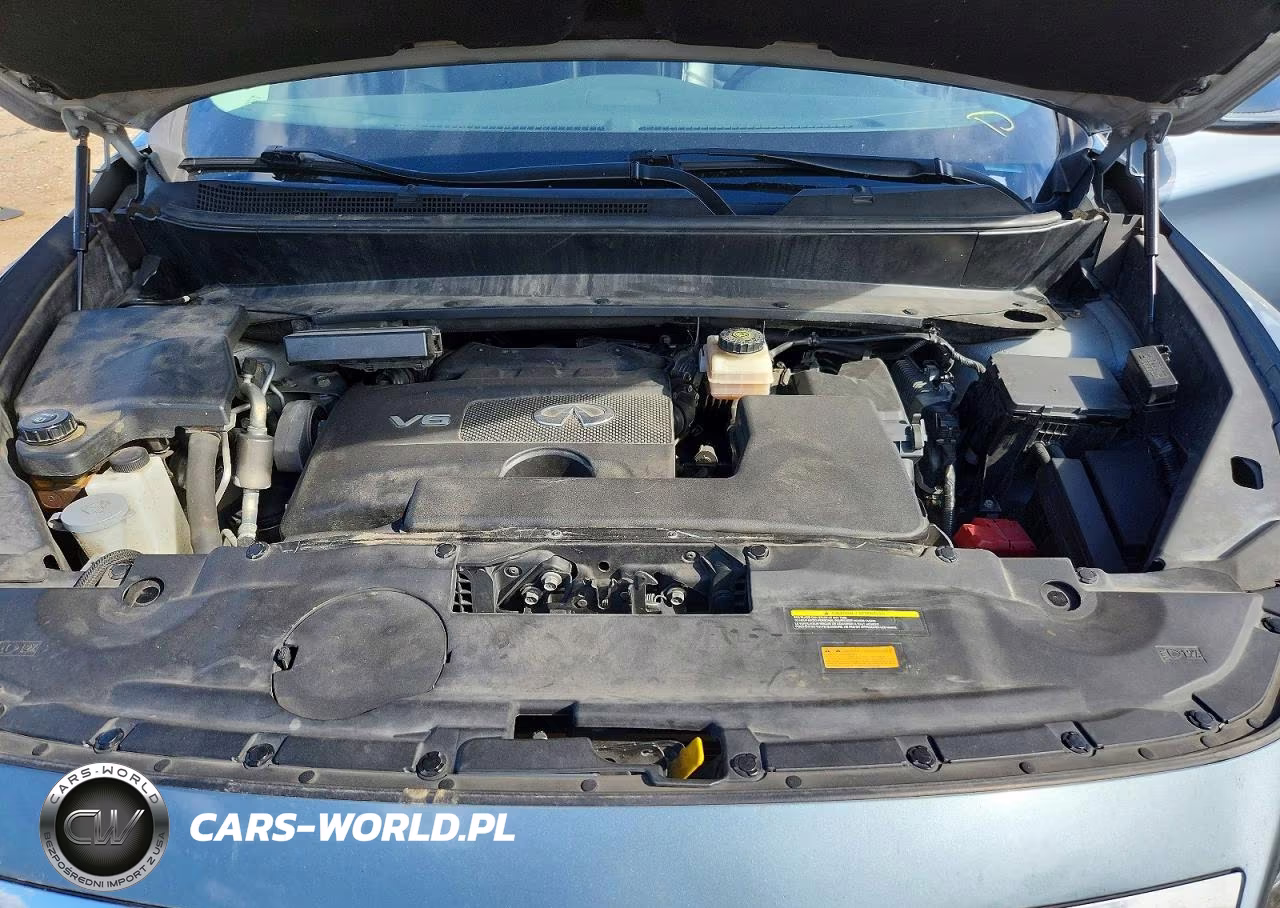 2019 Infiniti Qx60 Pure VIN:5N1DL0MM7KC569835 - 11