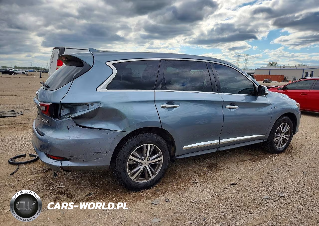 2019 Infiniti Qx60 Pure VIN:5N1DL0MM7KC569835 - 3