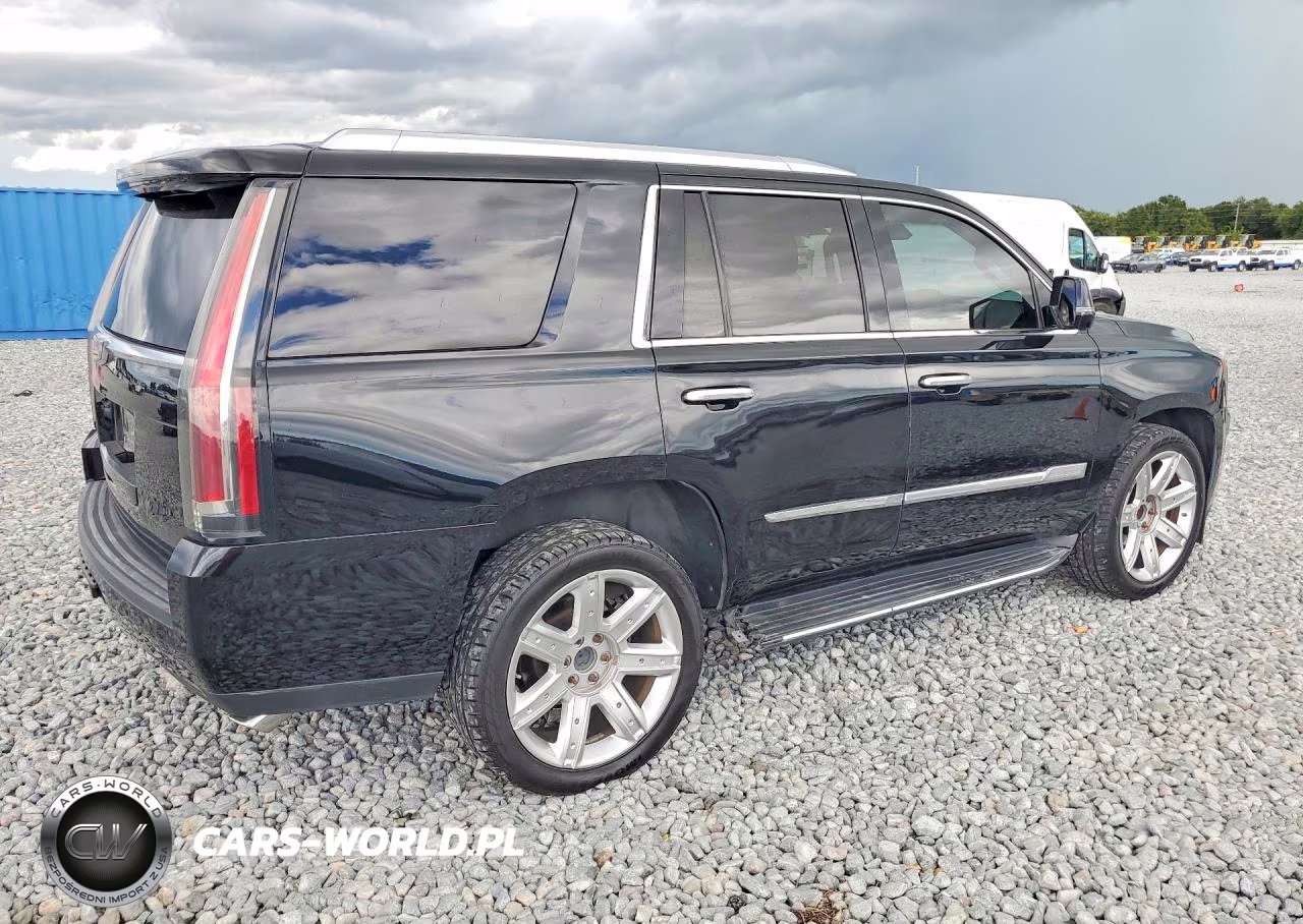 2016 Cadillac Escalade Luxury VIN:1GYS3BKJ9GR456581 - 3