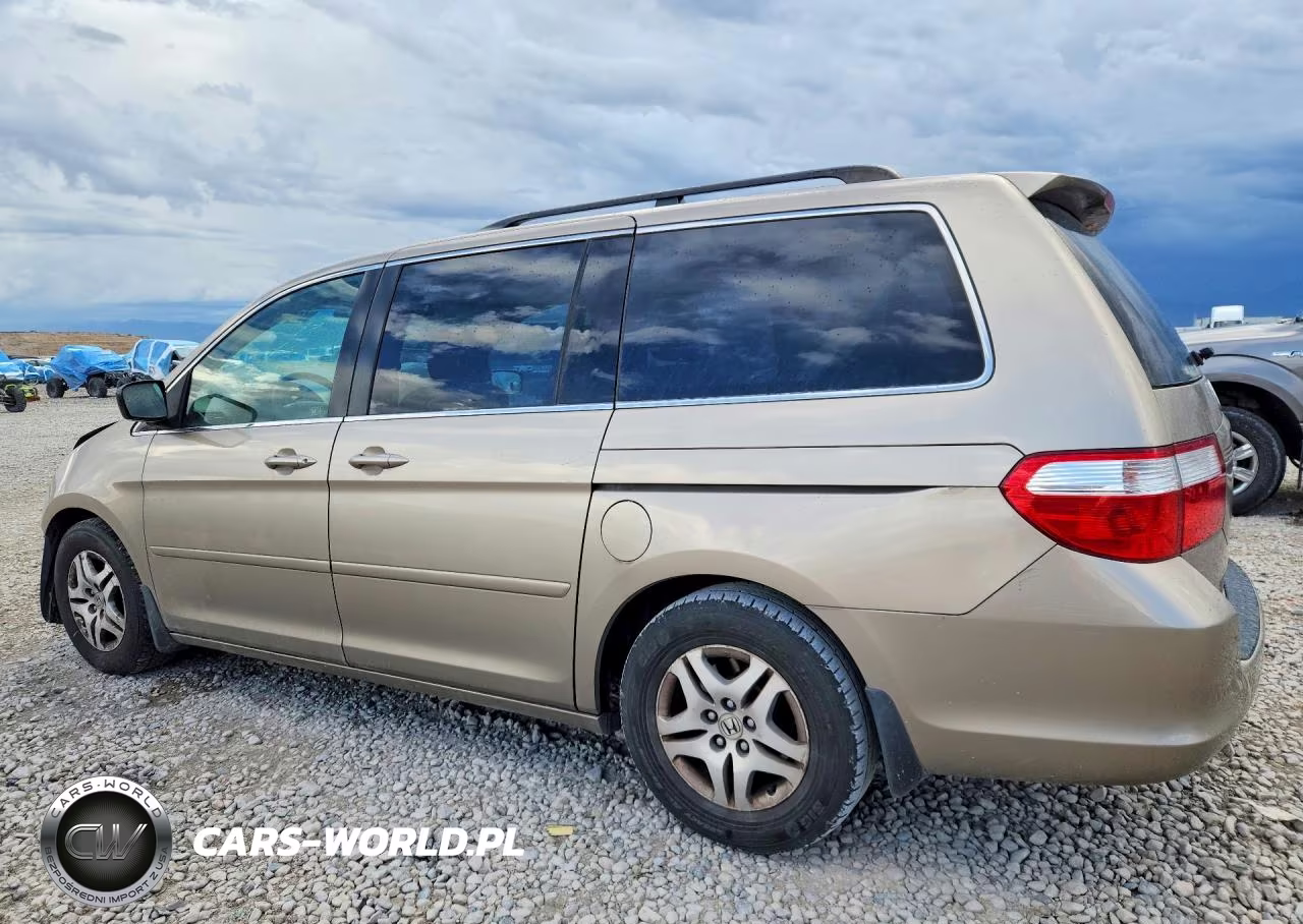 2005 Honda Odyssey Exl VIN:5FNRL38765B132626 - 2