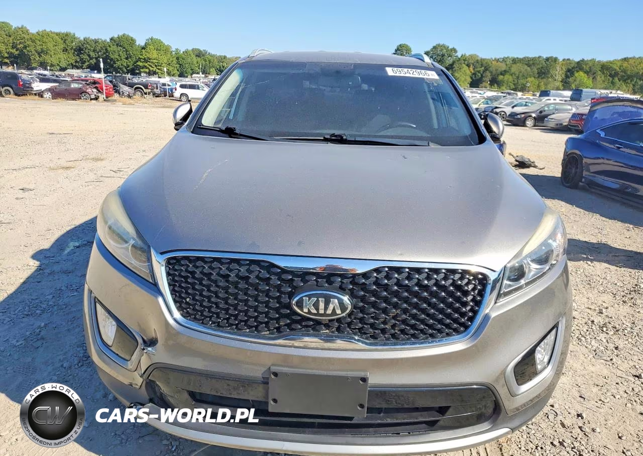 2017 Kia Sorento Ex VIN:5XYPH4A50HG200746 - 5