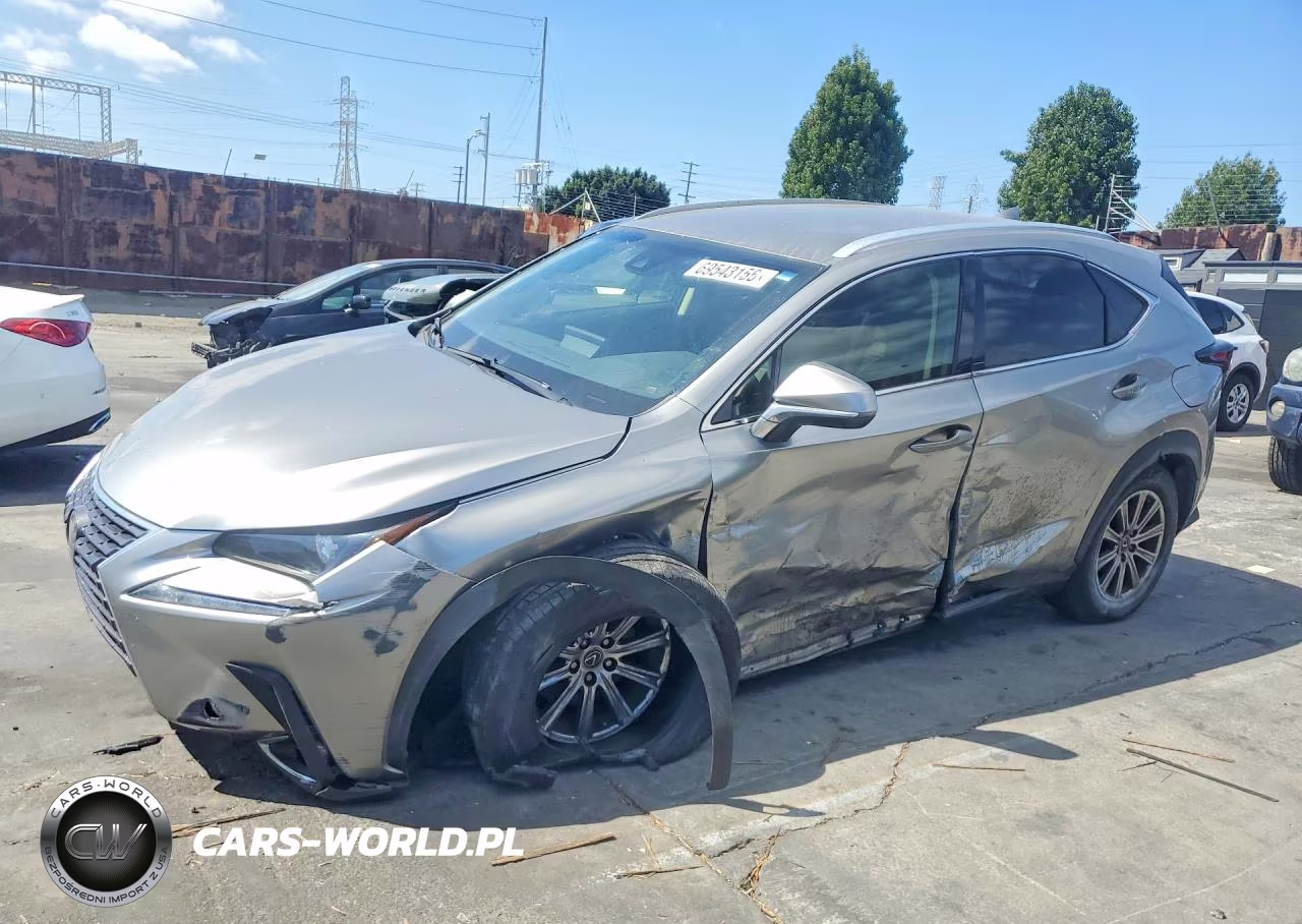 2019 Lexus Nx 300 Base VIN:JTJYARBZ1K2138327 - 1