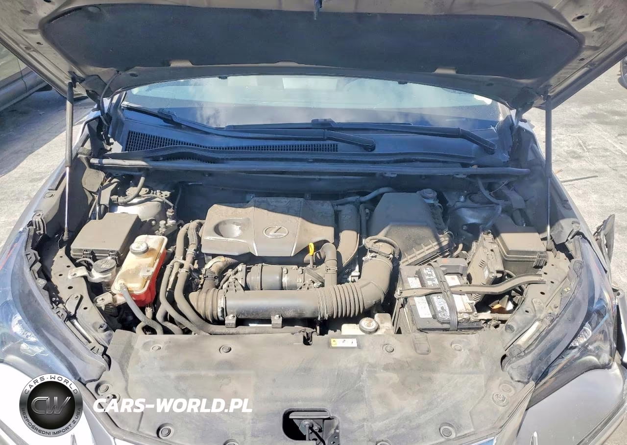2019 Lexus Nx 300 Base VIN:JTJYARBZ1K2138327 - 11