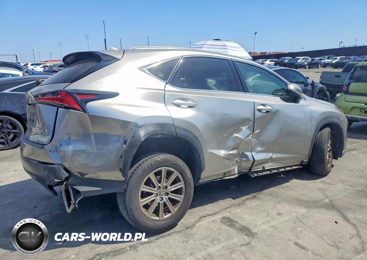 2019 Lexus Nx 300 Base VIN:JTJYARBZ1K2138327 - 3