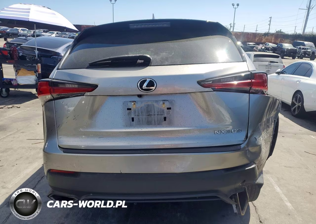 2019 Lexus Nx 300 Base VIN:JTJYARBZ1K2138327 - 6