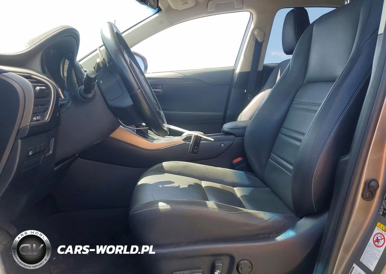 2019 Lexus Nx 300 Base VIN:JTJYARBZ1K2138327 - 7
