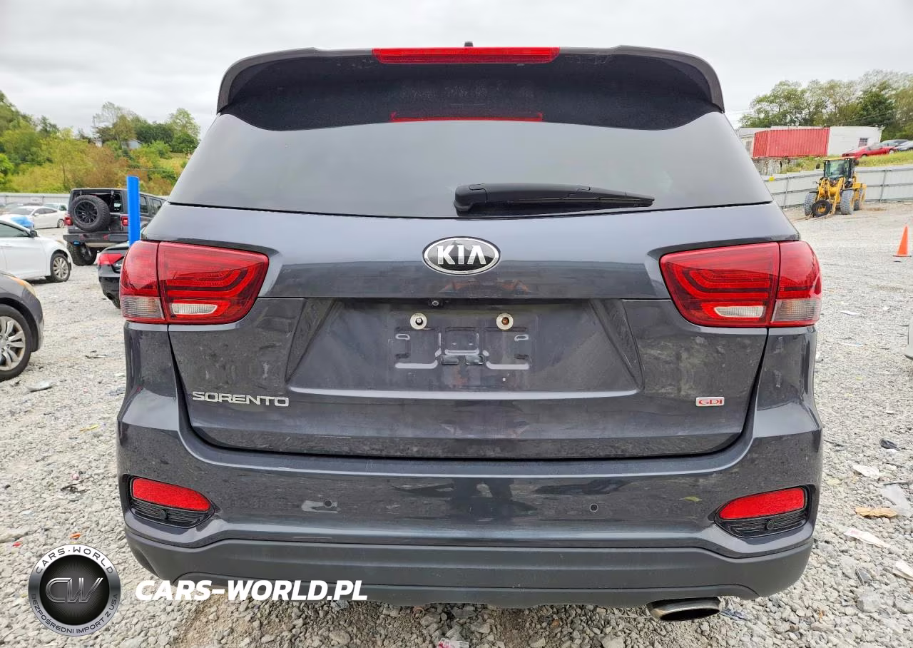 2019 Kia Sorento Lx VIN:5XYPG4A33KG551479 - 6