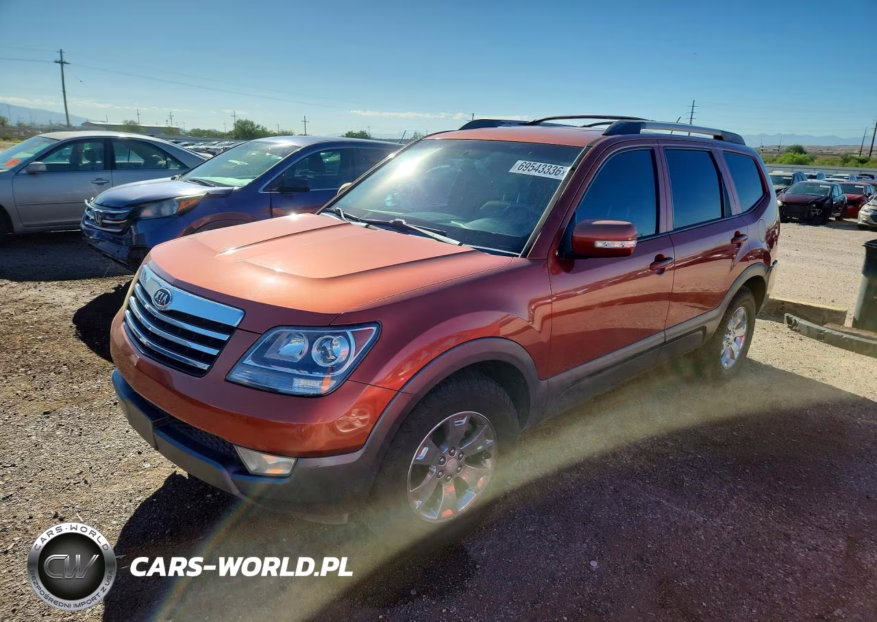 2009 Kia Borrego Lx