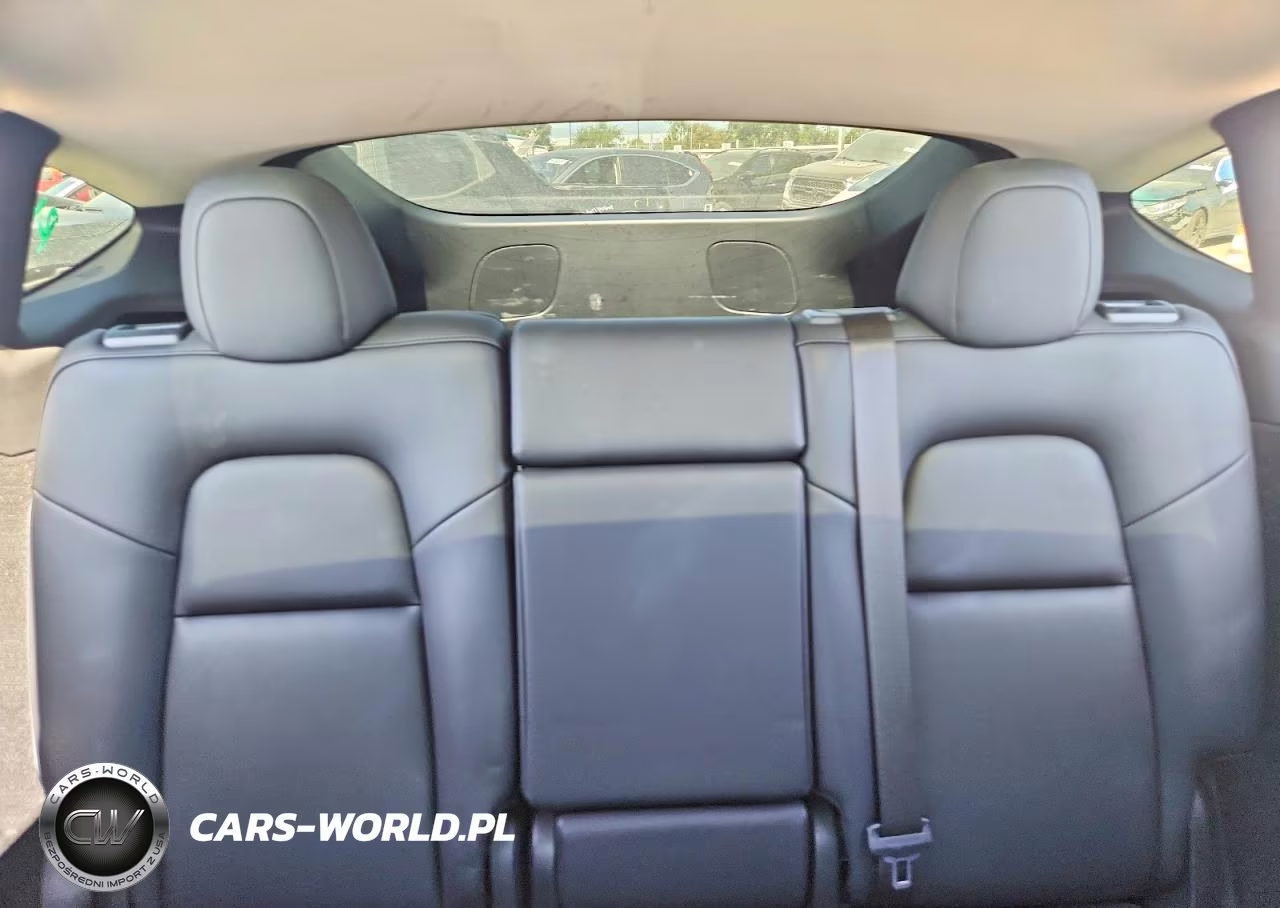 2024 Tesla Model Y VIN:7SAYGDEF1RF168928 - 10
