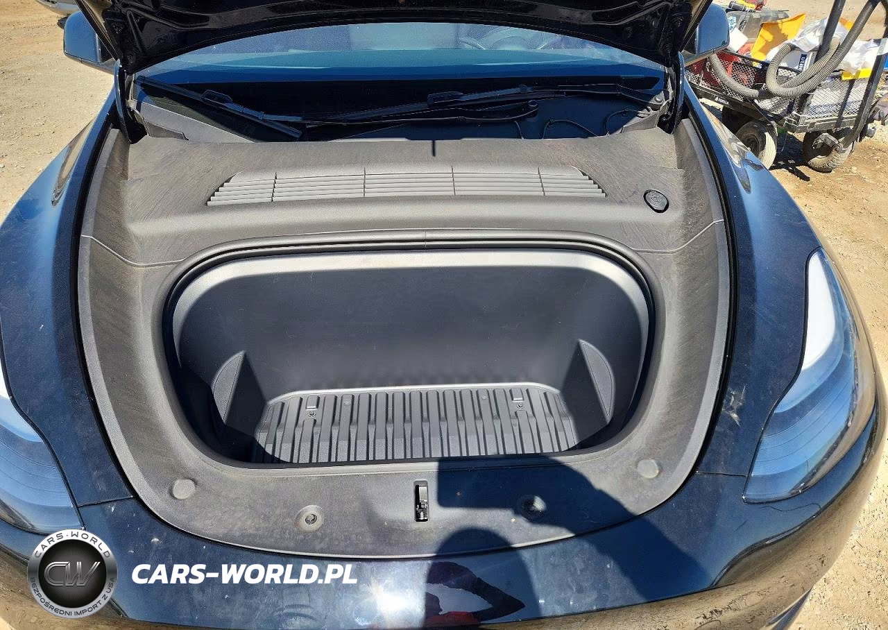 2024 Tesla Model Y VIN:7SAYGDEF1RF168928 - 12