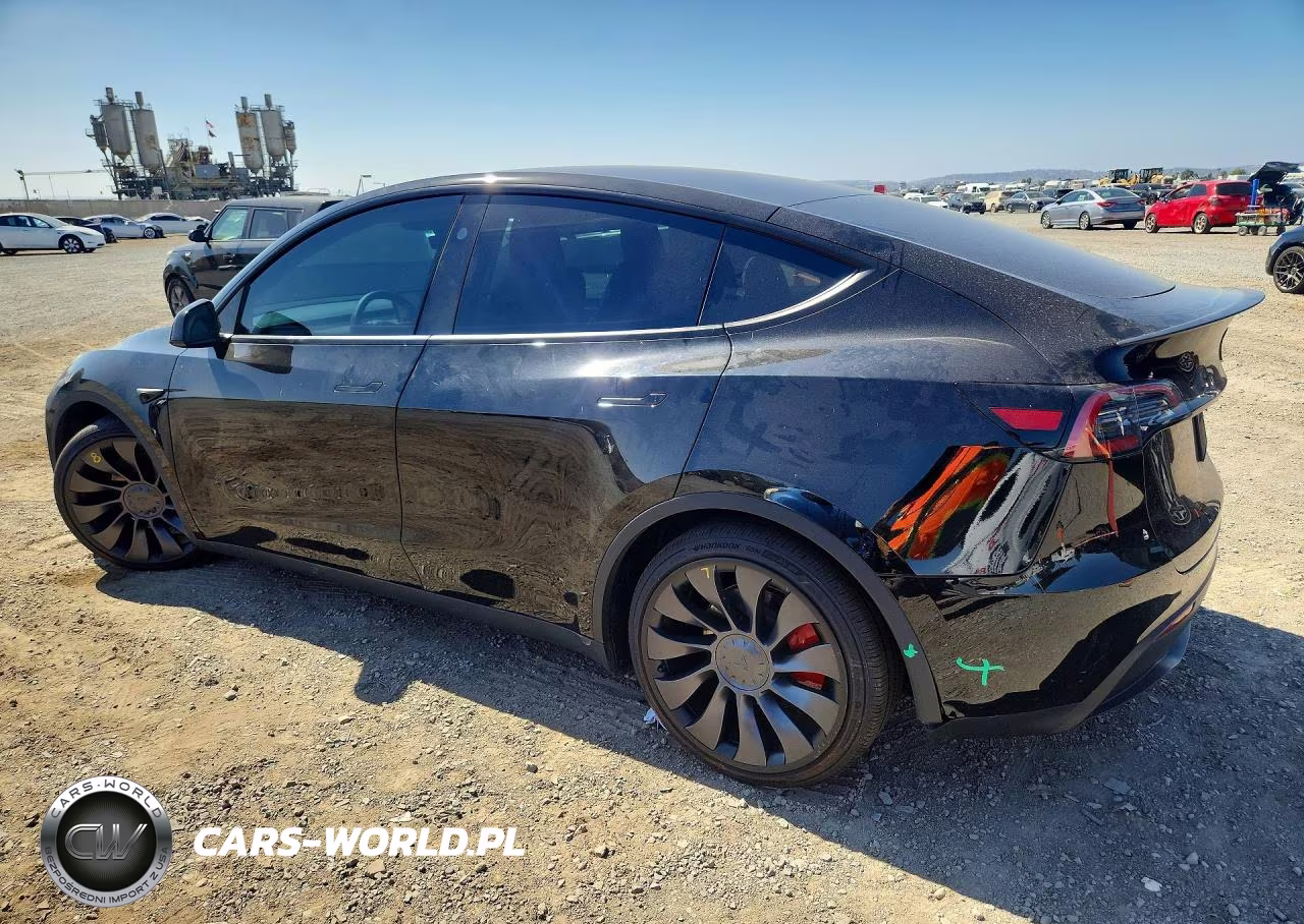 2024 Tesla Model Y VIN:7SAYGDEF1RF168928 - 2