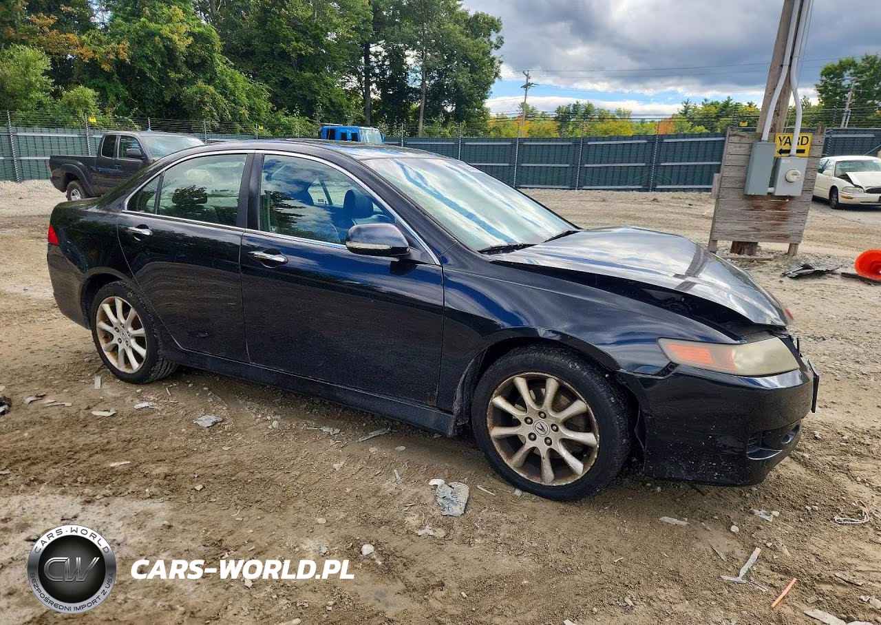 2006 Acura Tsx VIN:JH4CL96946C031062 - 4